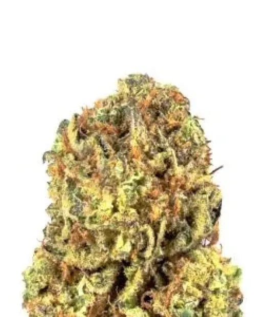 NYC Diesel