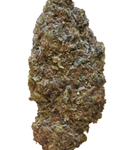 Forbidden Jelly Buds