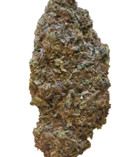 Forbidden Jelly Buds