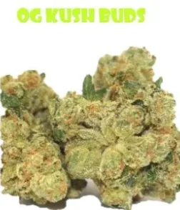 OG Kush Buds