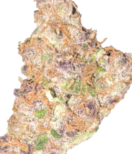 Platinum Terple Buds